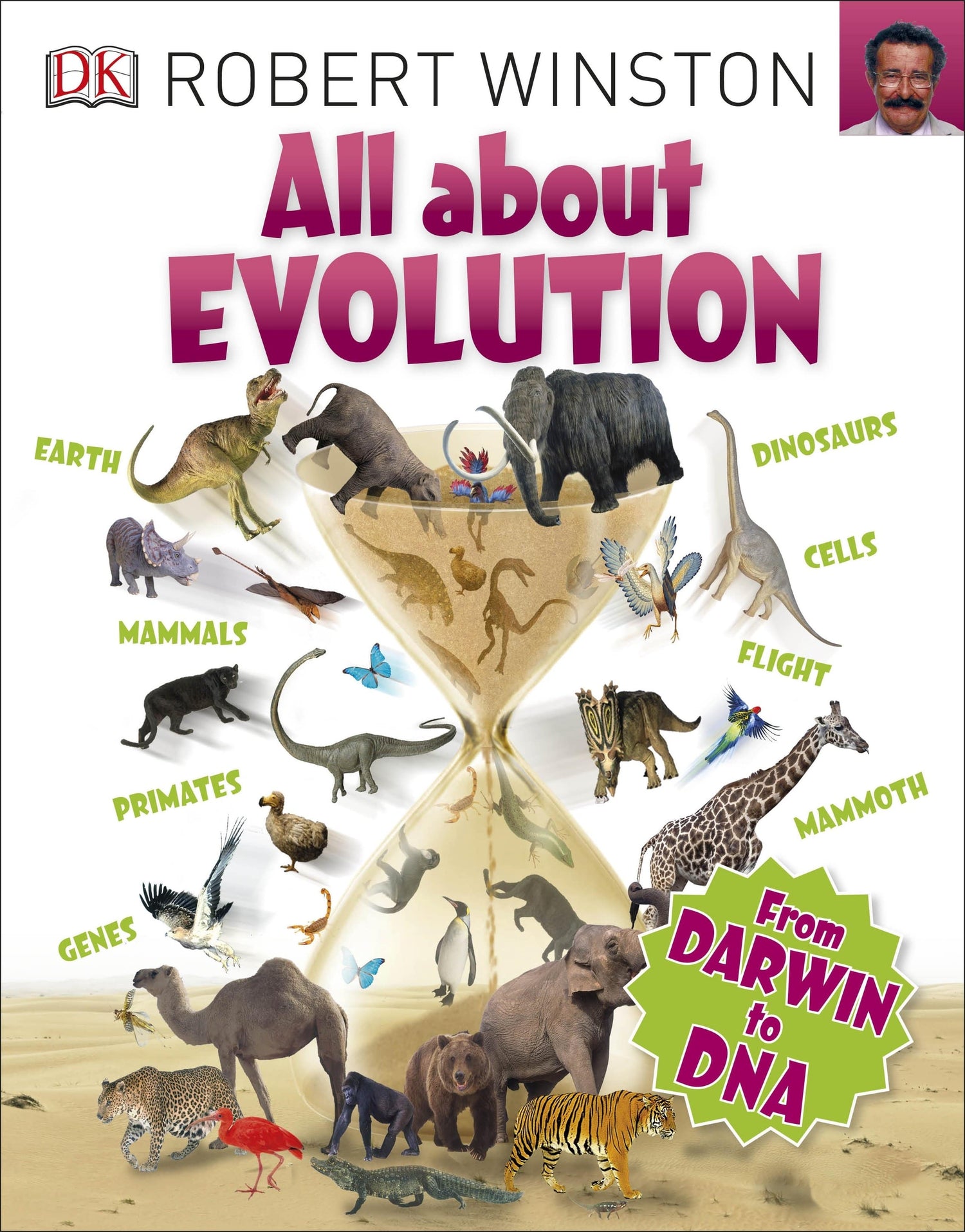 ALL ABOUT EVOLUTION