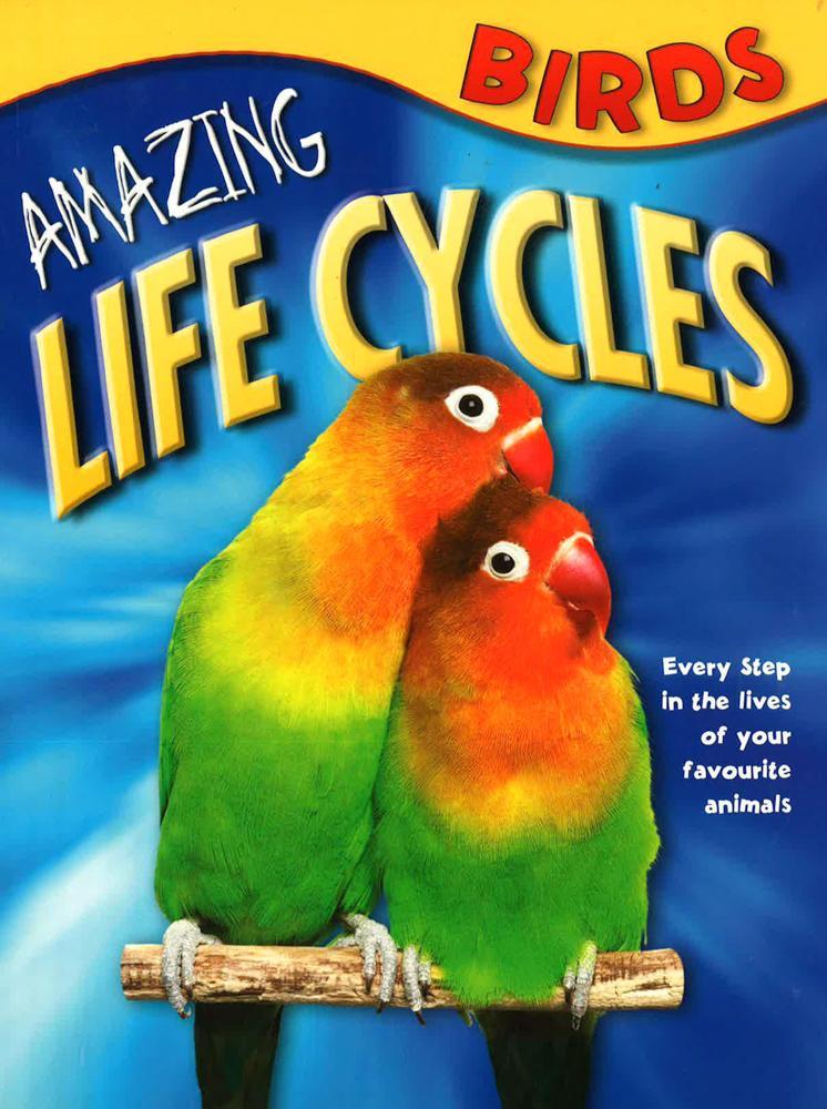 Amazing Life Cycles: Birds