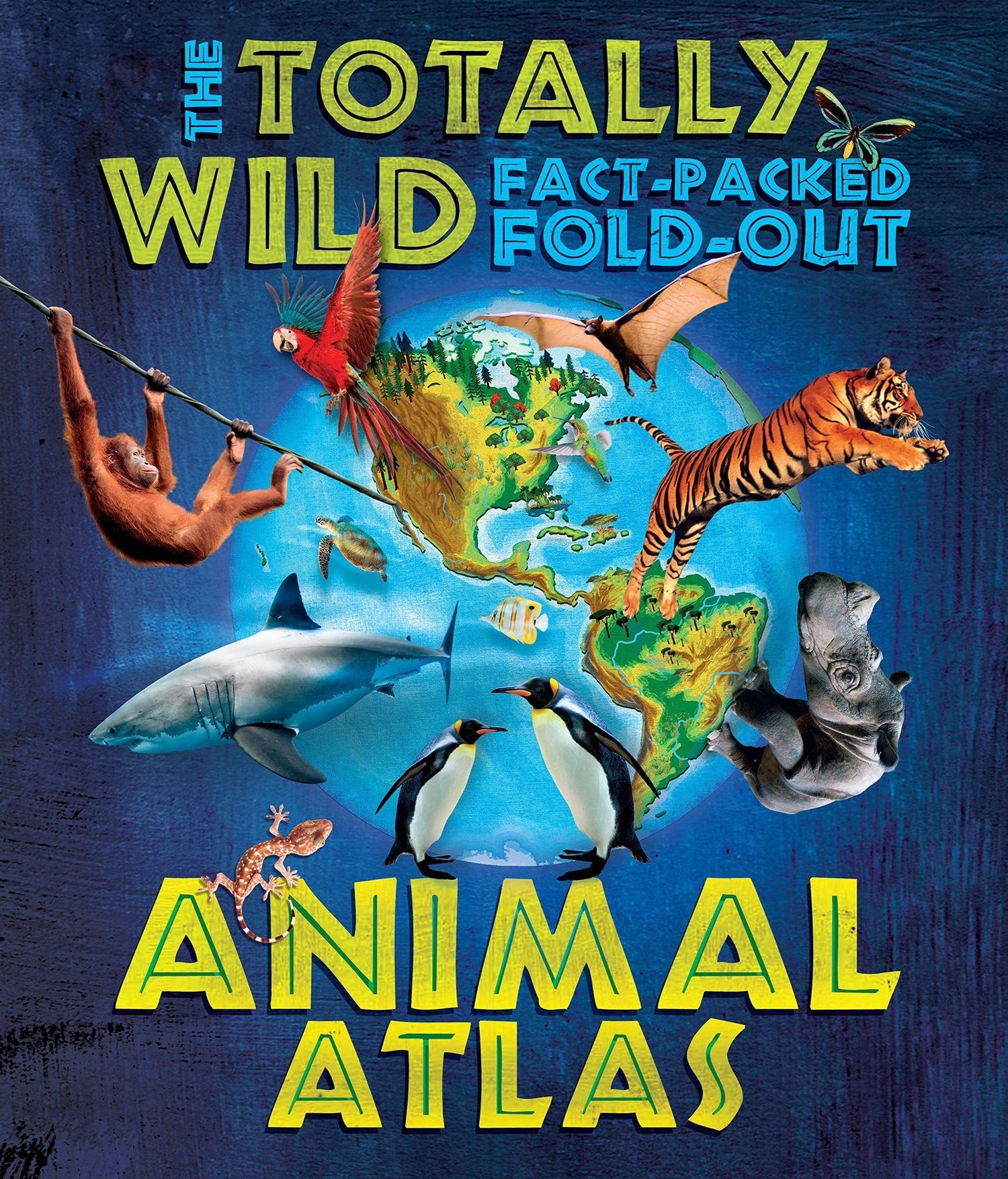 Animal Atlas