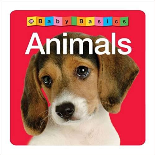 Animals: Wipe Clean Activity Flashcards