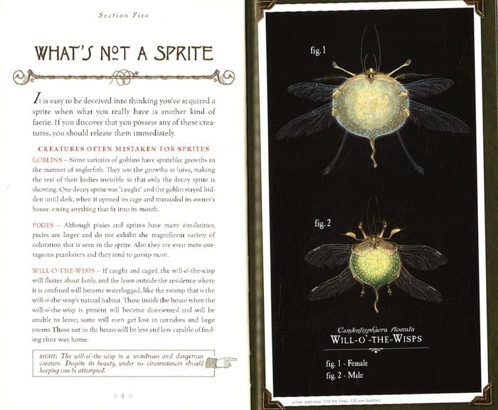 Arthur Spiderwick's Care And Feeding Of Sprites