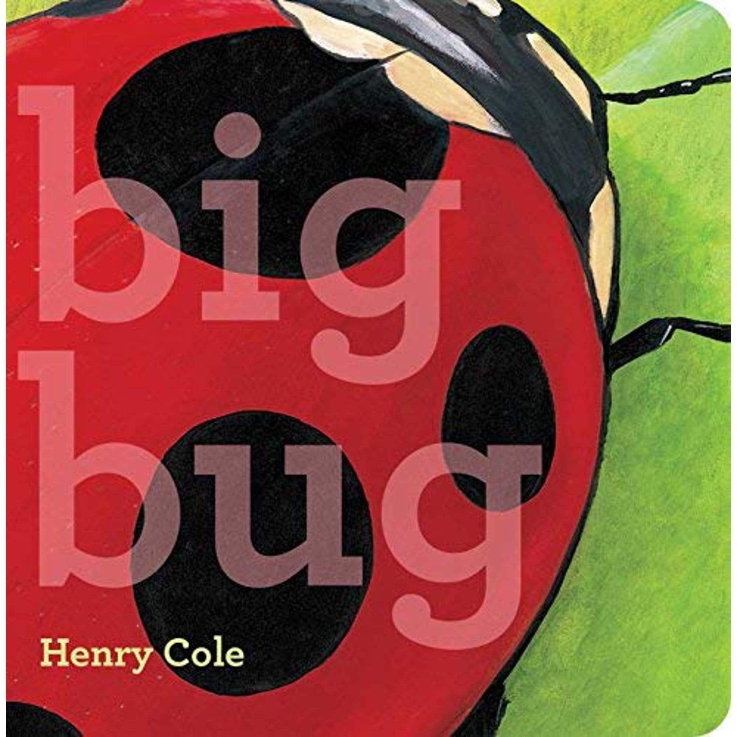 Big Bug (Classic Board Books)