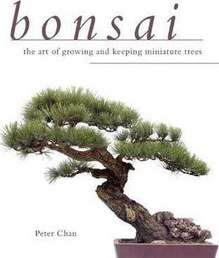 Bonsai