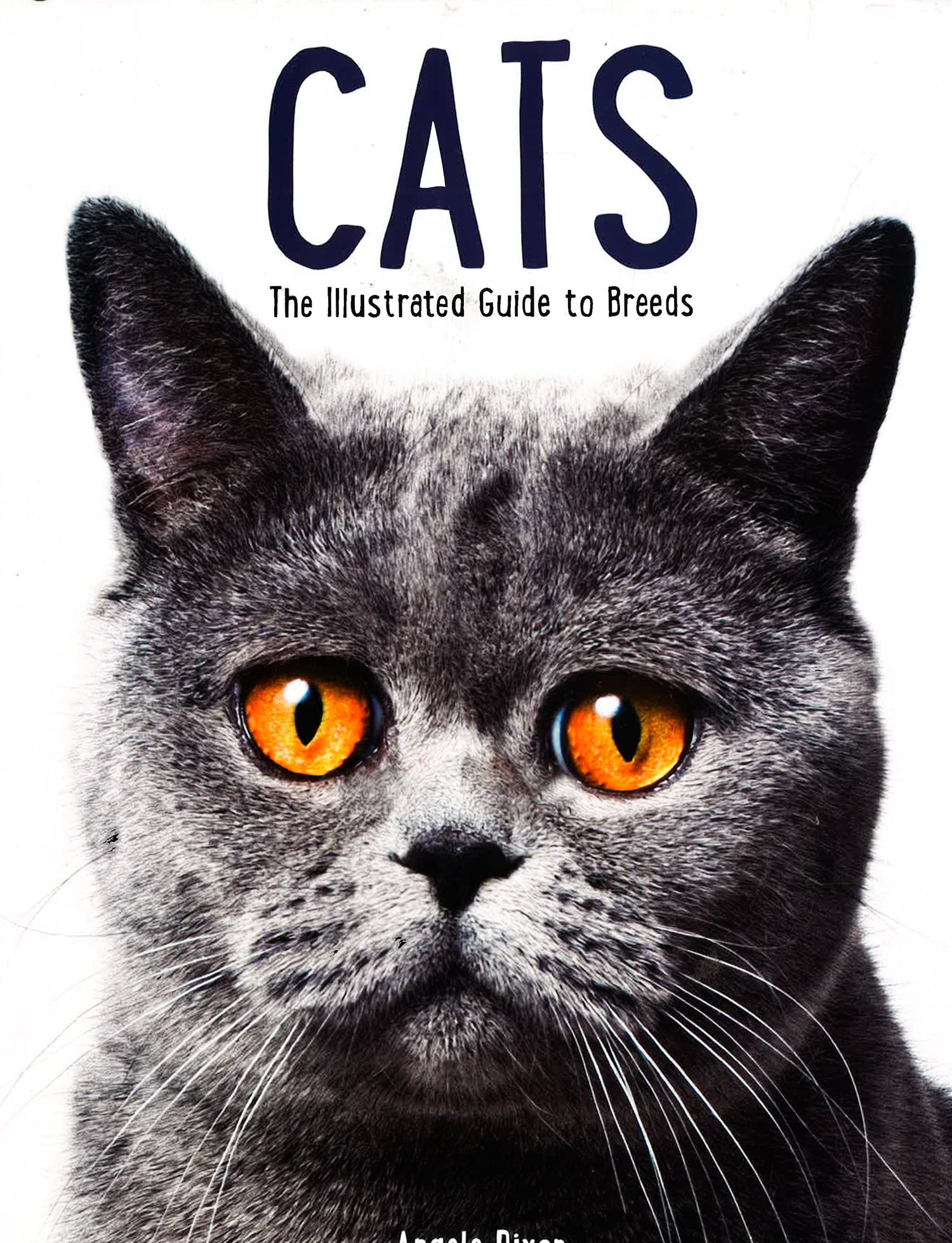 Cats: The Illustrated Guide To Breeds – BookXcess