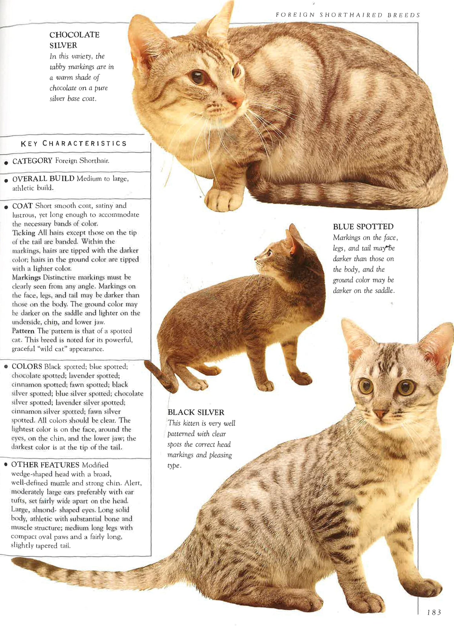 Cats: The Illustrated Guide To Breeds