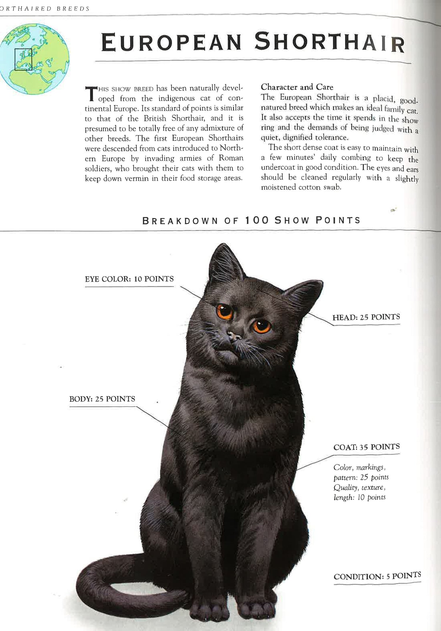 Cats: The Illustrated Guide To Breeds