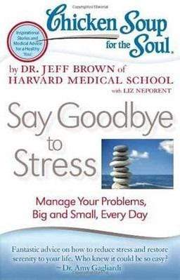 Chicken Soup for the Soul: Say Goodbye to Stress: Manage Your Problems, Big and Small, Every Day