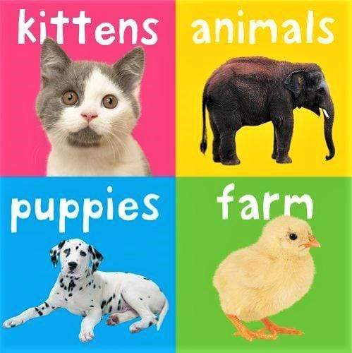 Chunky Books: Animals (4 Books)