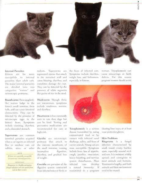 Complete Illustrated Encyclopedia Of Cats & Kittens