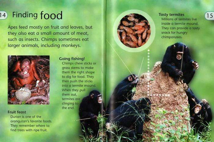 DISCOVER SCIENCE: APES AND MONKEYS