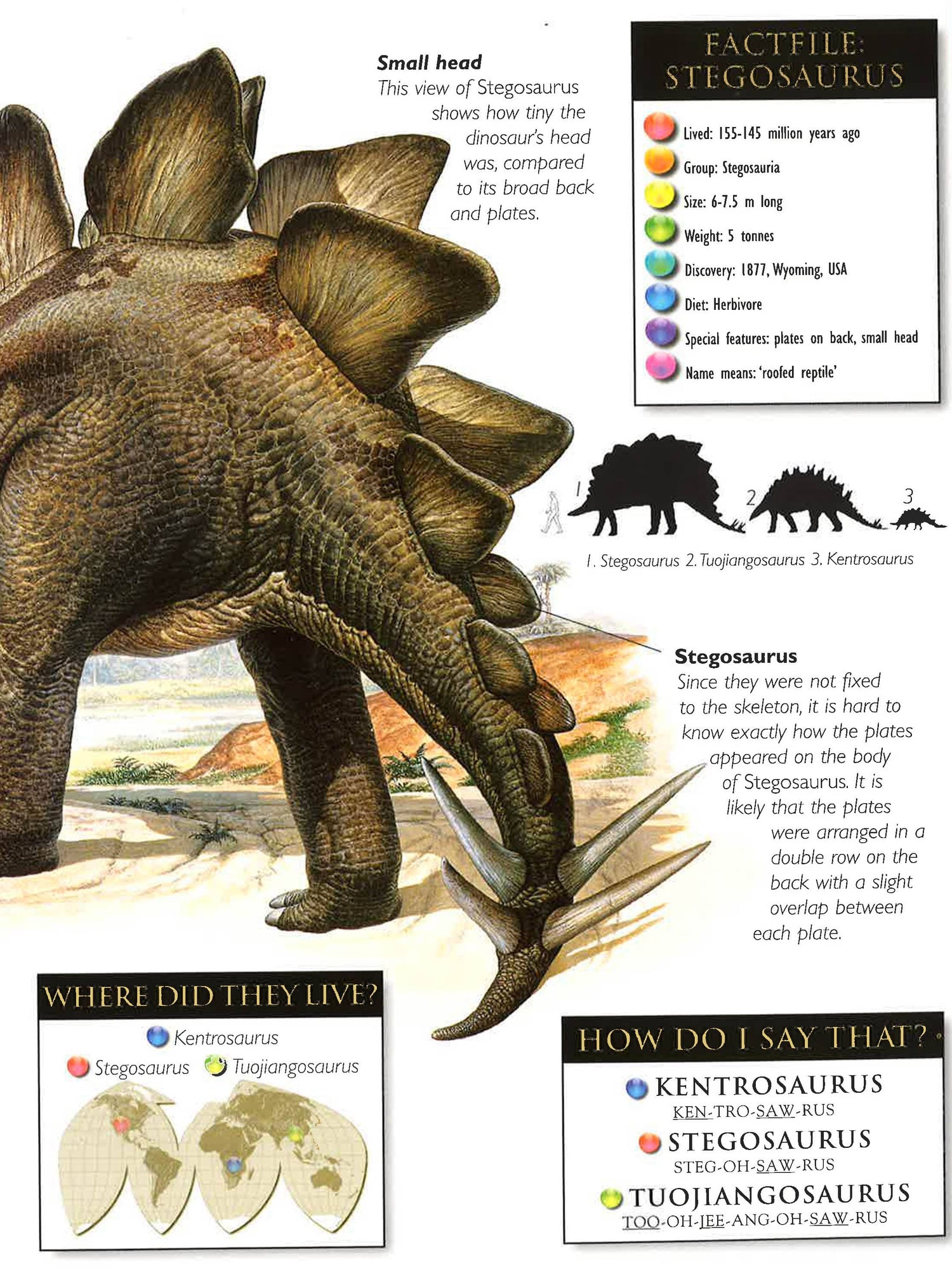 Discovering Dinosaurs (4 Asst Title)Flying Monster, Mighty Giants, Small & Scary,Weird And Wonderland