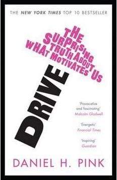 Drive: The Surprising Truth About What Motivates Us