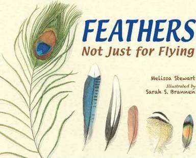 Feathers