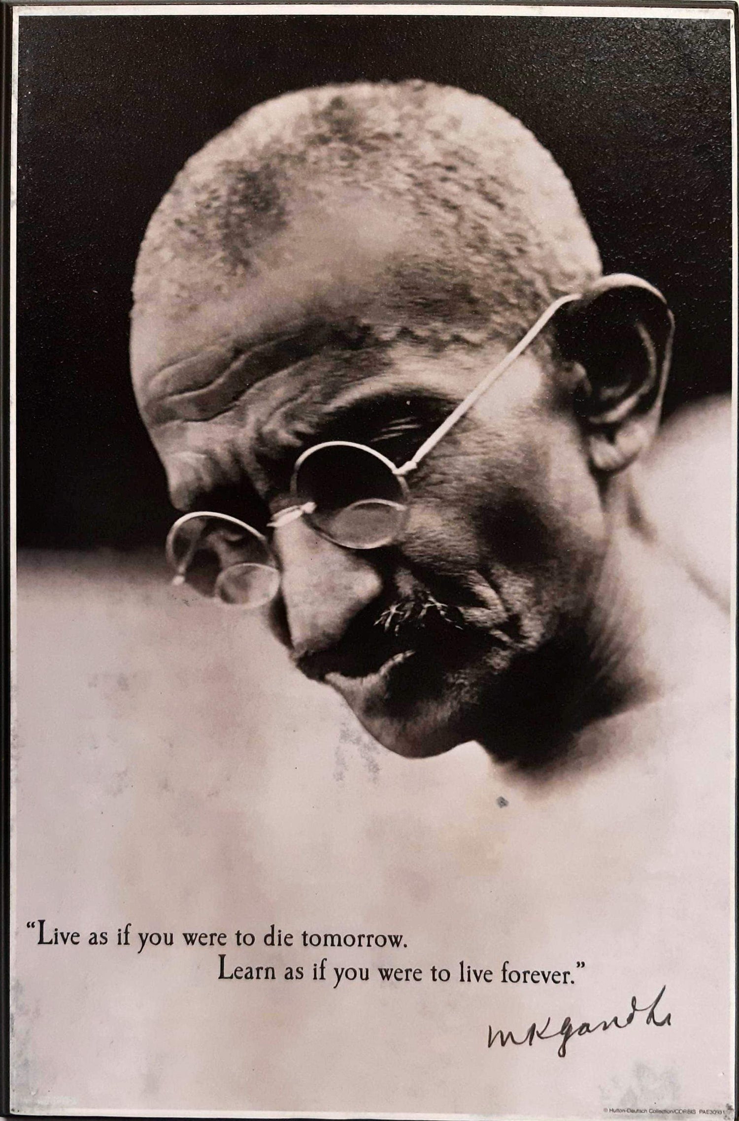 Gandhi - Live Forever (Plaque 11x17)