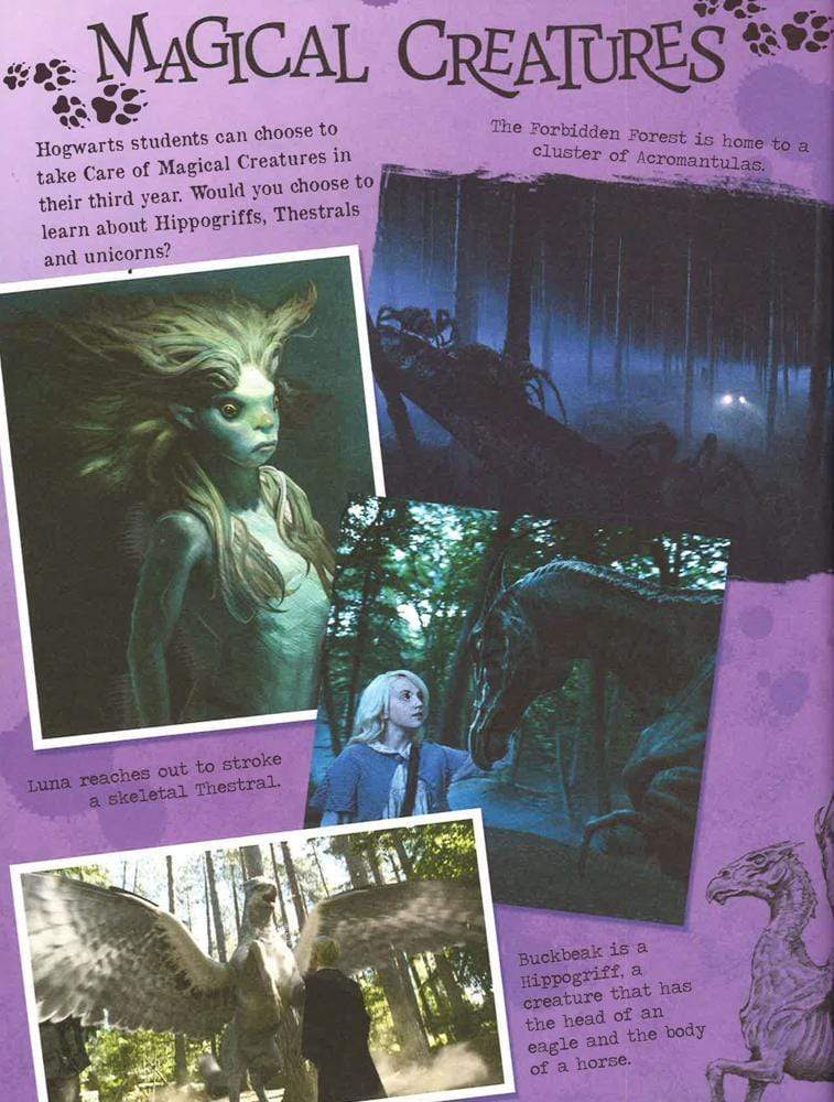 Buy Harry Potter: Hogwarts: A Cinematic Yearbook by Scholastic With Free  Delivery