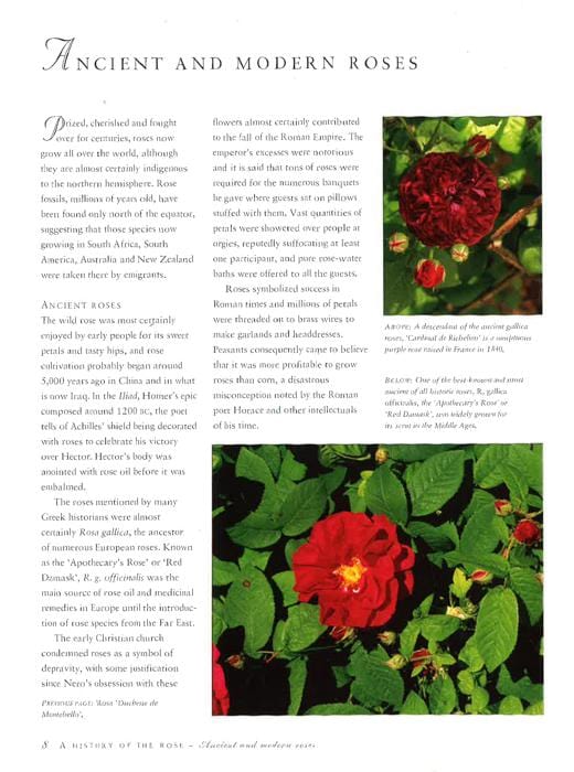 How to Grow Beautiful Roses: A Practical Guide to Growing, Caring for and Maintaining Roses, Shown in Over 275 Glorious Photographs