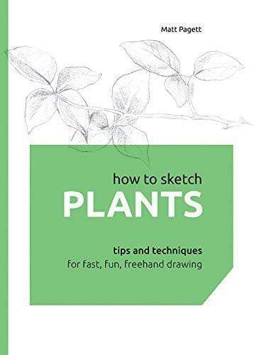 How To Sketch Plants