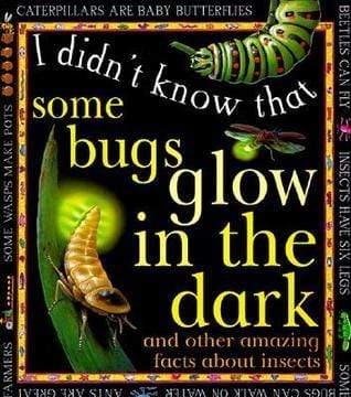 I didn't Know That Some Bugs Glow in The Dark.