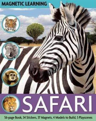 Magnetic Learning: Safari