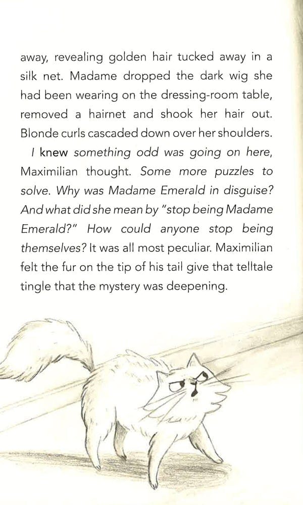 Max The Detective Cat: The Disappearing Diva