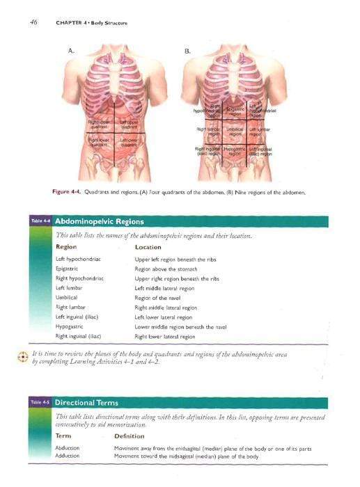 Medical Terminology Systems