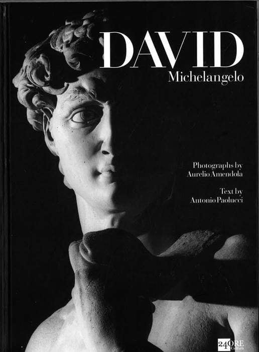 Michelangelo's David