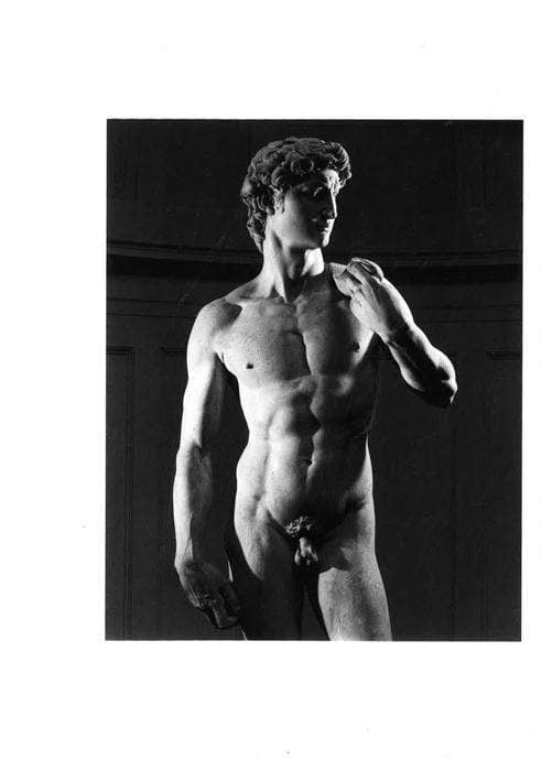 Michelangelo's David