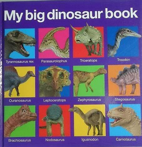 My Big Dinosaur Book