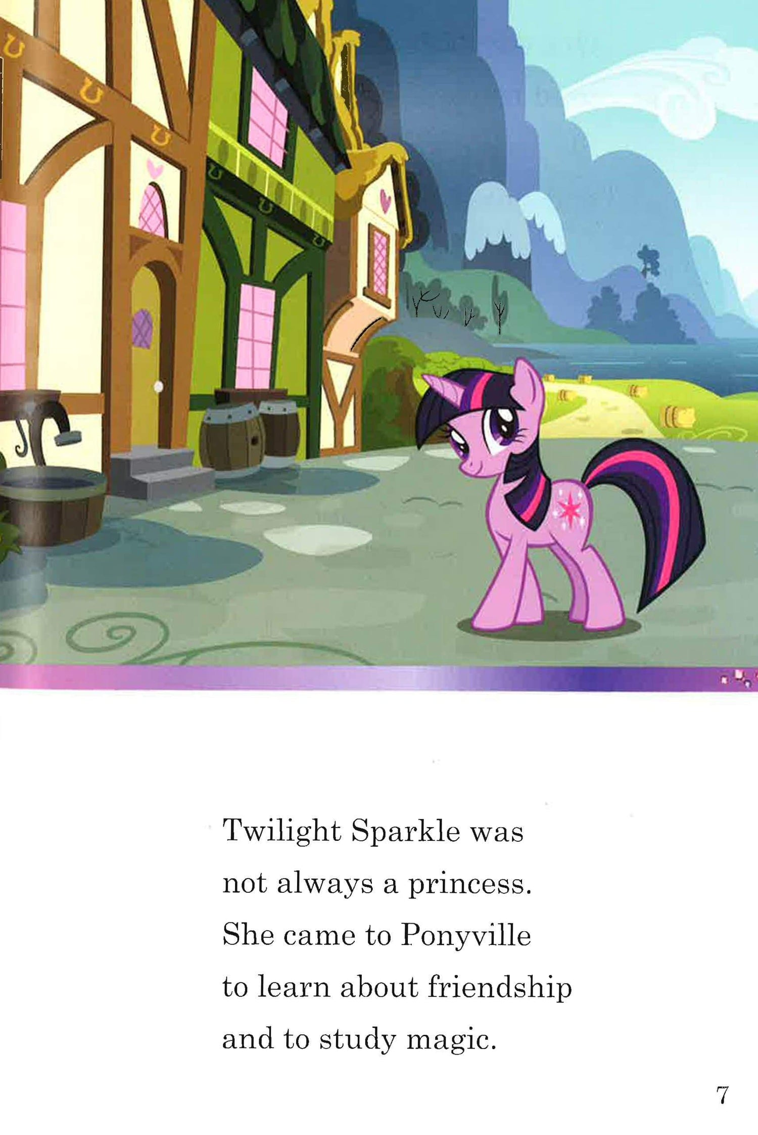 My Little Pony: Meet The Princess of Friendship