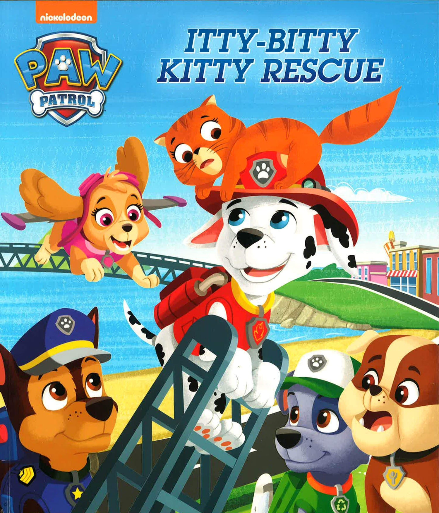  Paw Patrol - La Pat'Patrouille - 500 gommettes: 9782012042148:  Nickelodeon: Books