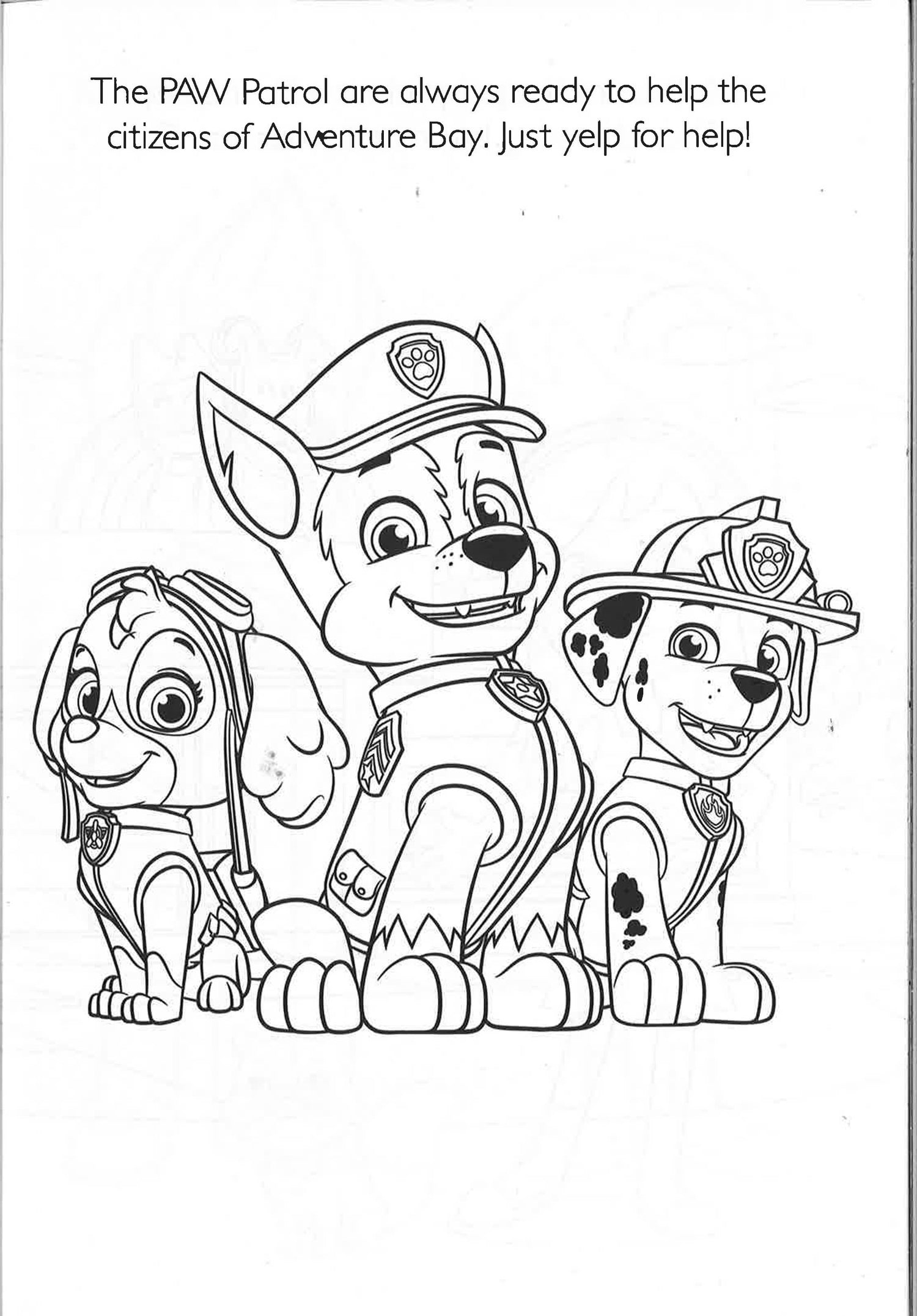 Nickelodeon Mega Coloring And Activity Book - Paw Patrol Blue – Lex and  Summer