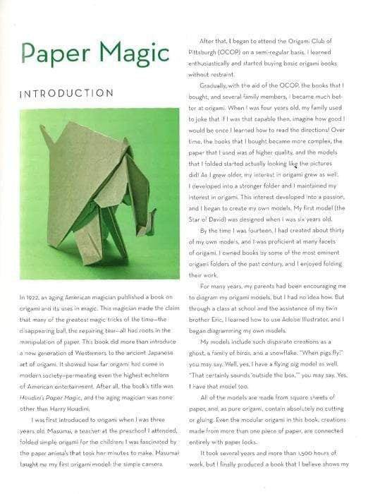 Outside The Box Origami: A New Generation Of Folds (Hb)