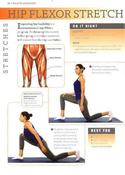 Pilates Anatomy