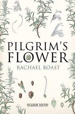 Pilgrim's Flower