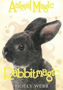 Rabbitmagic