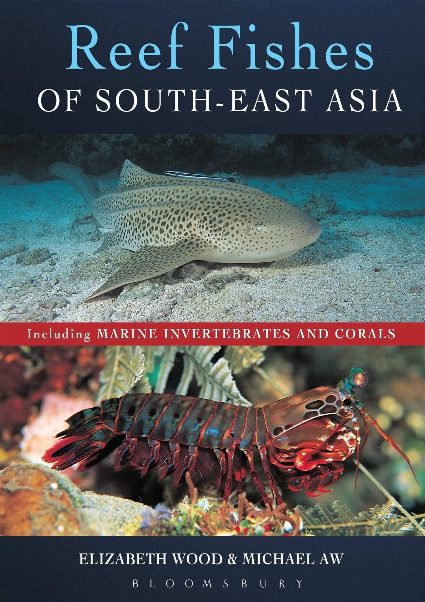 Reef Fishes Of South-East Asia