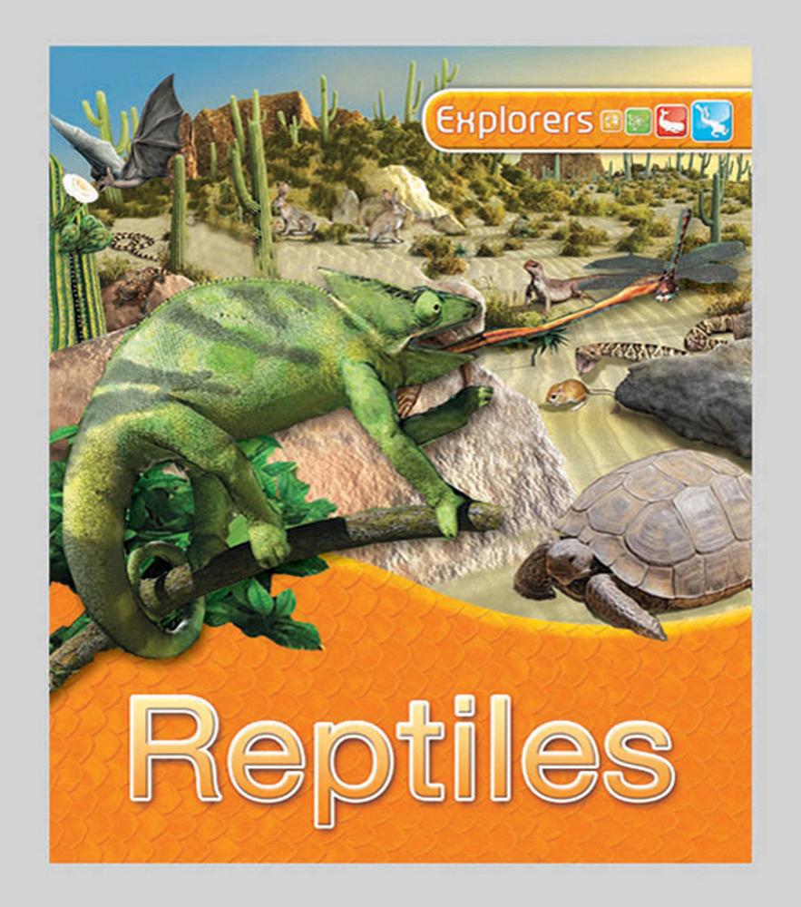 Reptiles