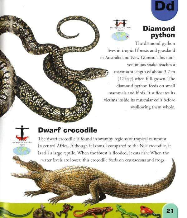 Reptiles And Amphibians Dictionary (Hb)