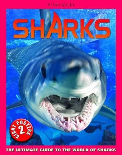 Sharks Poster Book