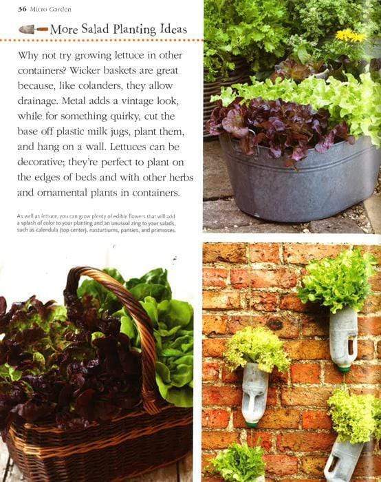 Small Space Garden Ideas