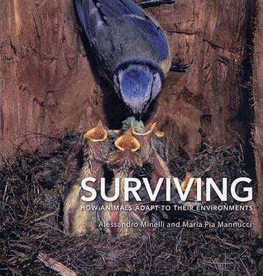 Surviving: How Animals Adapt To Their Environments