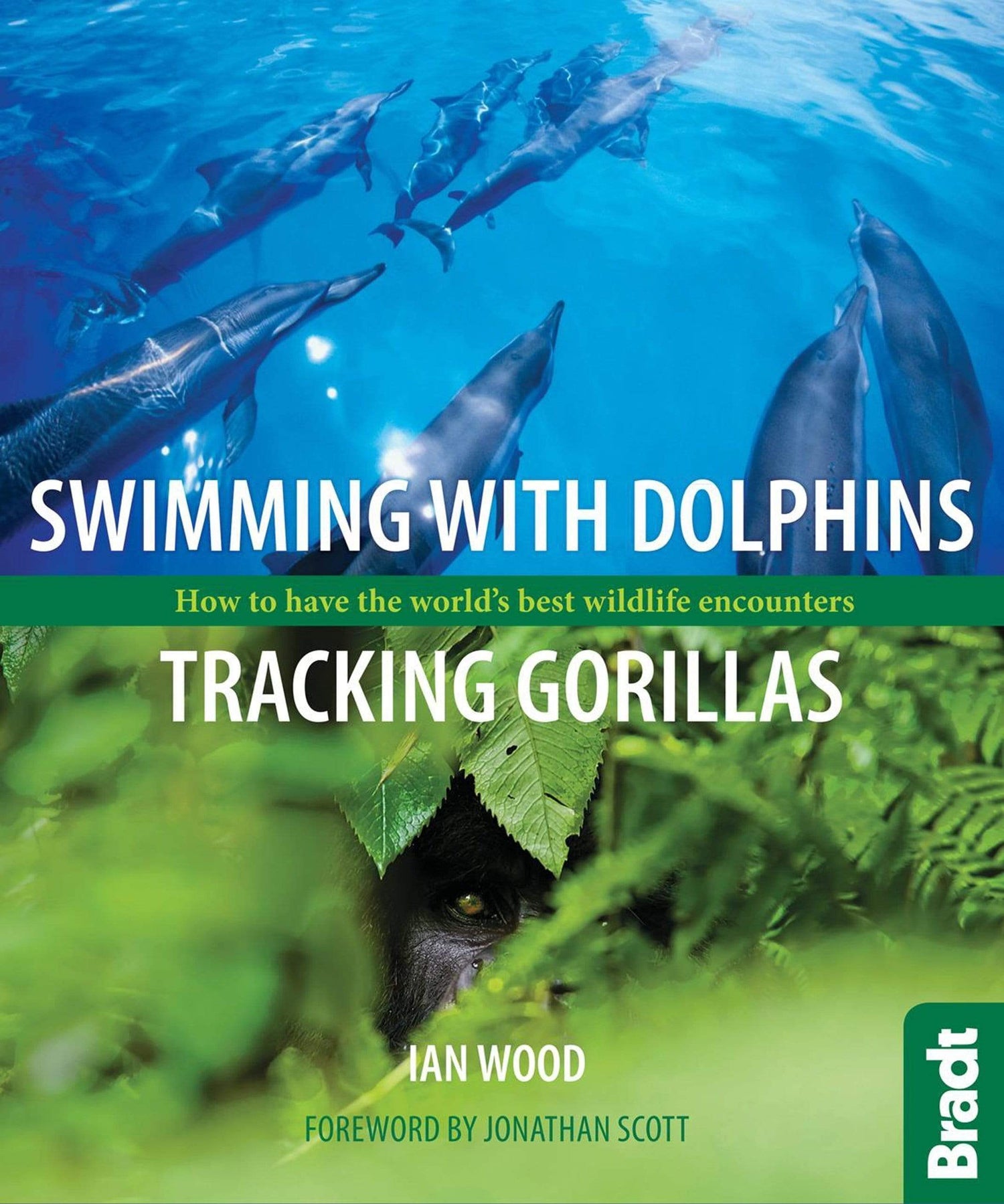 Swimming with Dolphins, Tracking Gorillas