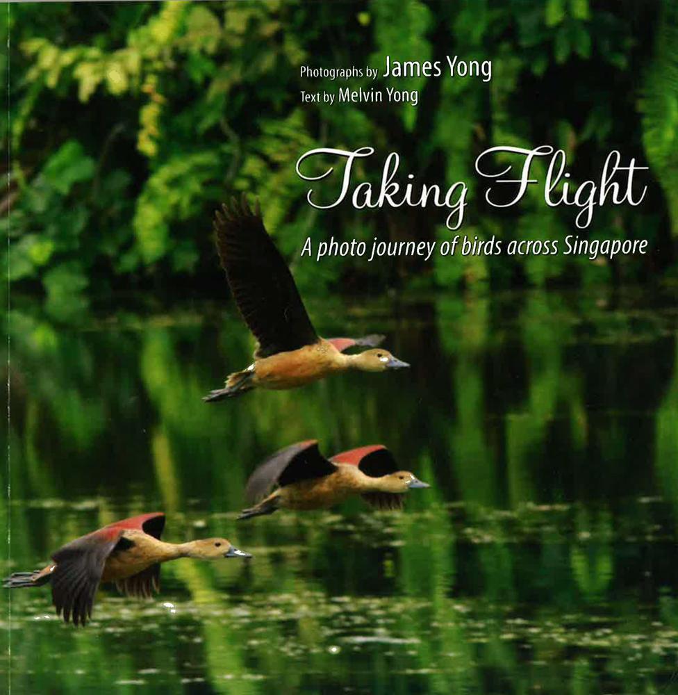 Taking Flight : A Photo Journey of Birds Across Singapore