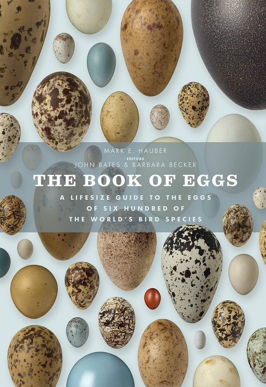 The Book of Eggs