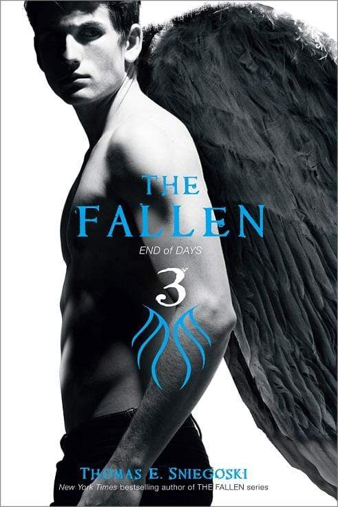 The Fallen: End Of Days (Book 3)