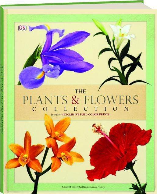 The Plants & Flowers Collection