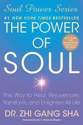 The Power Of Soul