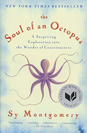 The Soul Of An Octopus