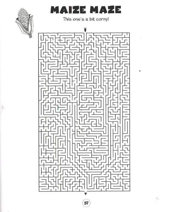 The Totally Brilliant Amazing Mazes Book – BookXcess