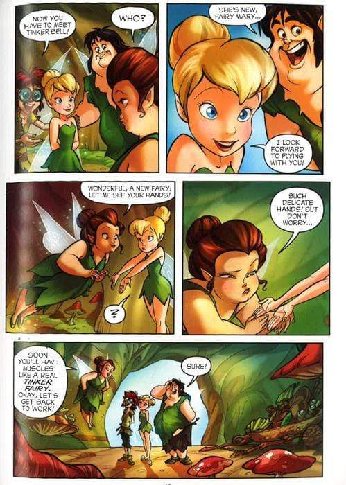 Tinker Bell And Her Magical Arrival (Disney Fairies Graphic Novels #9)